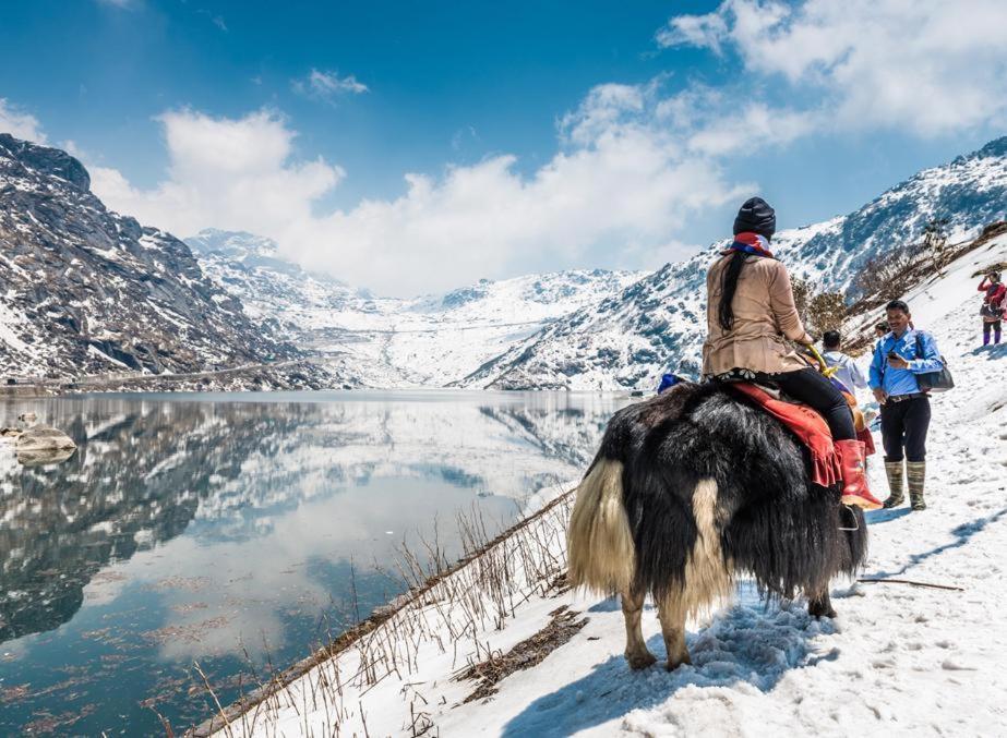 Snow White Retreat Hotel And Restaurant Gangtok Bagian luar foto